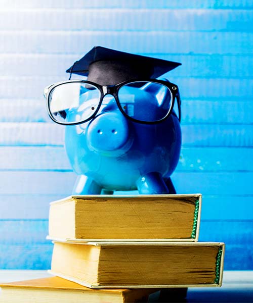 The picture shows a piggy bank