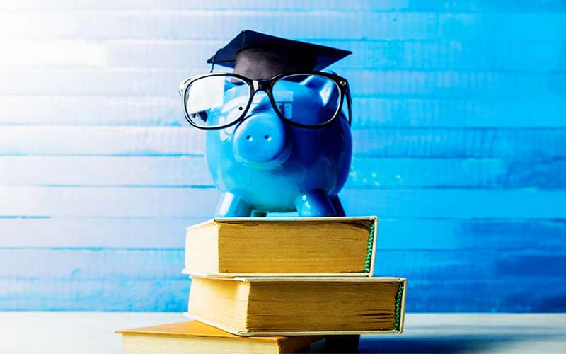 The picture shows a piggy bank